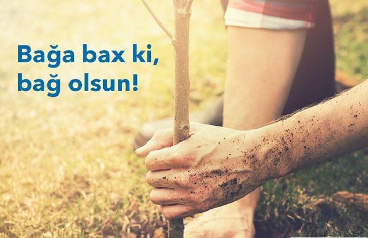 Bağçılıqla məşğul olan şəxslər üçün kampaniya davam edir - KREDİTDƏ GÜZƏŞT VƏ ENDİRİM