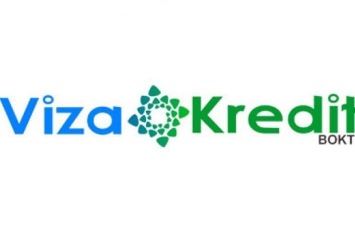 “Viza Kredit” zərər açıqladı