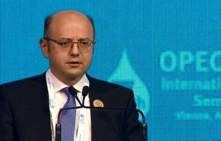 Azərbaycan neft hasilatının azaldılması müddətinin uzadılması ilə bağlı təklifi dəstəkləyib