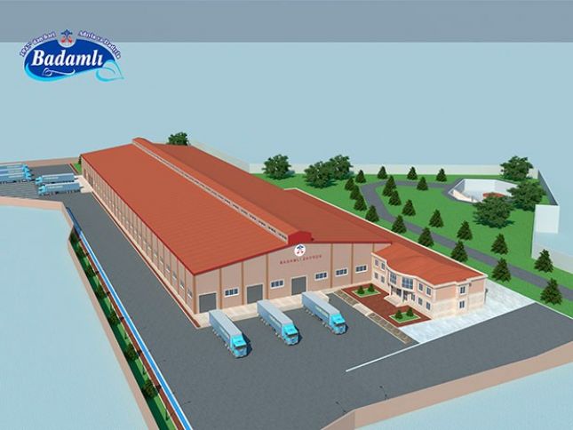 Daha çox Badamlı istehsalı üçün yeni zavod tikilir