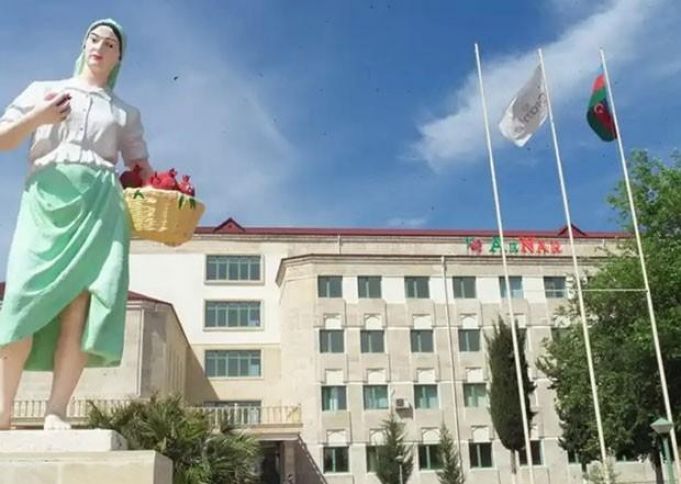 Azərbaycanlı milyarderin Göyçaydakı şirkəti növbədənkənar yığıncaq keçirəcək