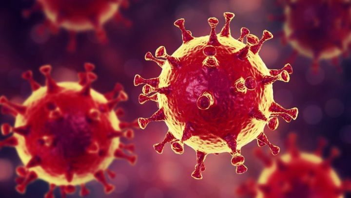 Azərbaycanda koronavirus ilə bağlı son vəziyyət açıqlandı