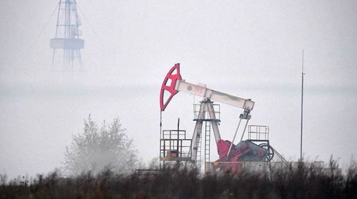 "Neftdə ideal qiymət 45-55 dollardır"