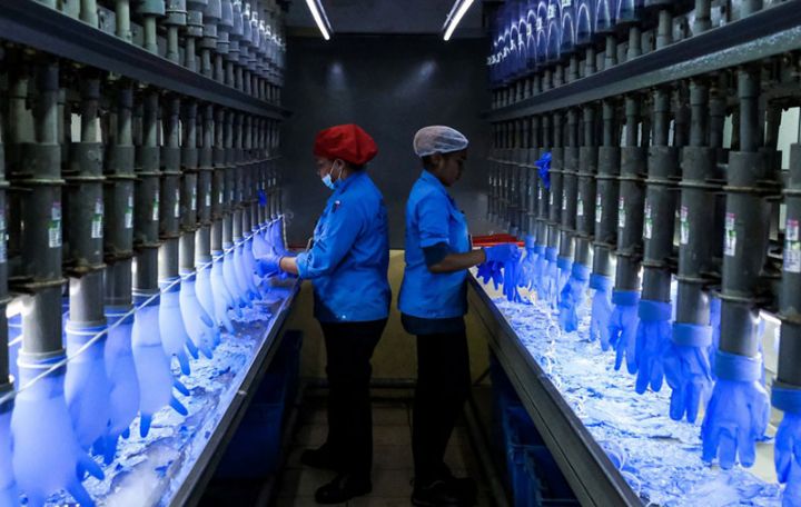 “Vaksin gəldi, bazar bağlandı” - ən iri əlcək istehsalçısı tənəzzüldədir