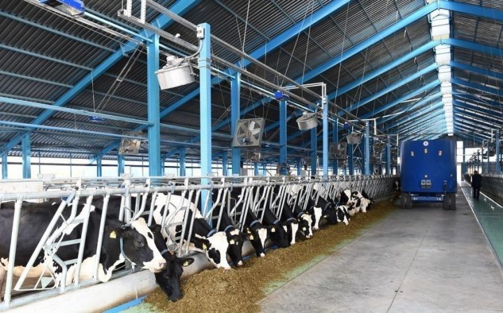 Azərbaycanda dövlətdən güzəştli kredit alan sahibkarlar monitorinq ediləcək