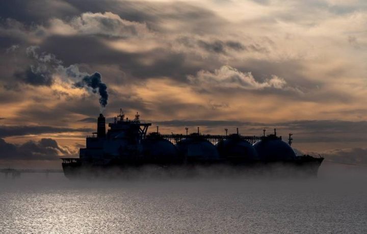 Asiya qazının qiyməti 2021-ci ildən bəri 4 dəfə artıb