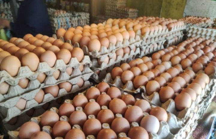 Rusiyanın artan yumurta təlabatının ödənilməsi üçün Bakıda görüş