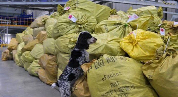 Rusiya ilə Çin arasında ticarət dövriyyəsi 40,7% artıb