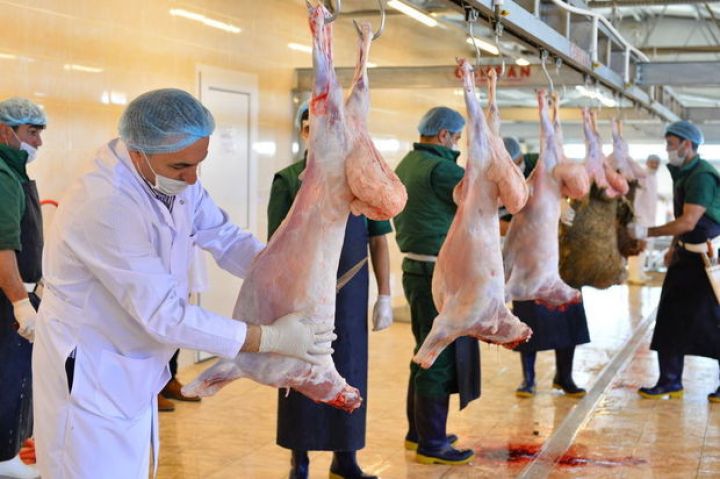 Qurban bayramı günlərində heyvanların satışı və kəsimi xidmətləri göstəriləcək ünvanlar açıqlanıb