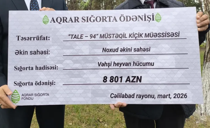 262 manata məhsulu sığortaladı – 8801 manat sığorta ödənişi aldı!