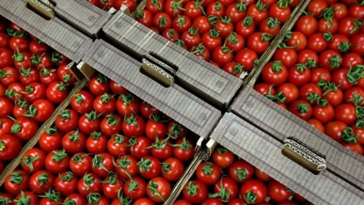Rusiyanın 33 ton pomidoru Azərbaycana qaytarmasının səbəbi - Açıqlandı