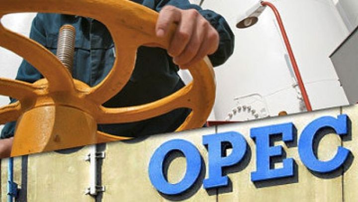 Yanvarda OPEC+ razılaşmasına 133% əməl edilib