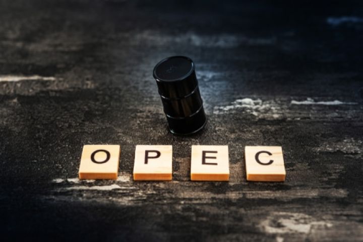"Fitch" "OPEC+" qərarının neft bazarına müsbət təsir edəcəyini gözləyir