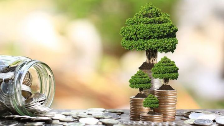 Almaniyanın ilk "yaşıl" istiqrazlarına 30 milyard avroluq sifariş