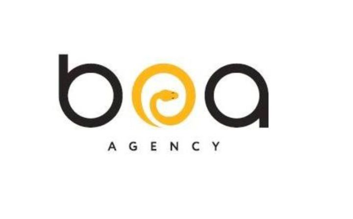 "BOA Agency" yarımillik gəlir və xalis mənfəətini açıqladı