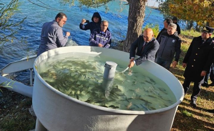 Su anbarına 200 mindən çox balıq körpəsi buraxılıb